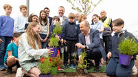 Taoiseach invokes childhood memories as he officially opens Cork's newest park