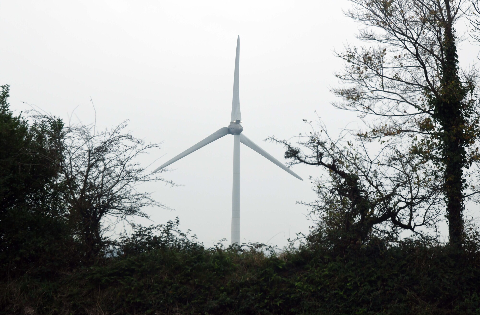 Group challenges €46m Kerry wind farm development for a second time