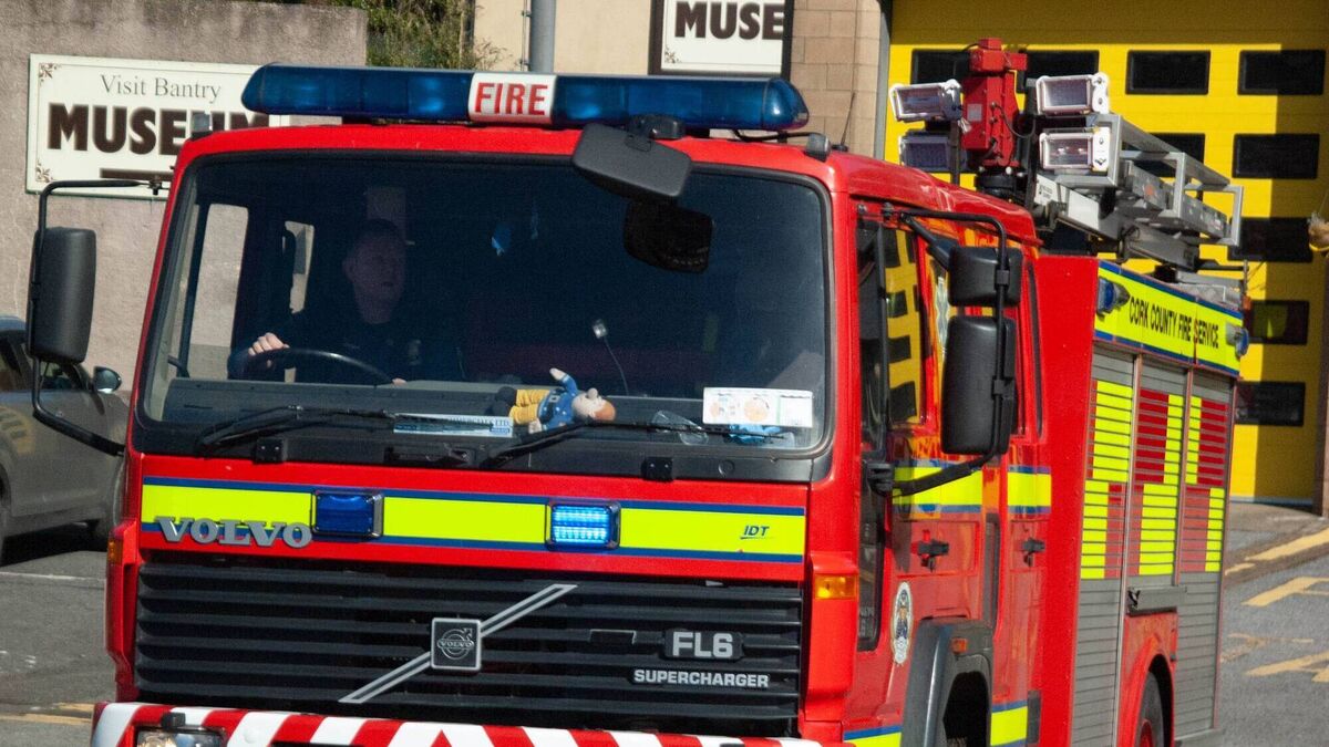 Munster 999 operators warn someone could die due to €14m software 'shit-show' - Vimarsana News