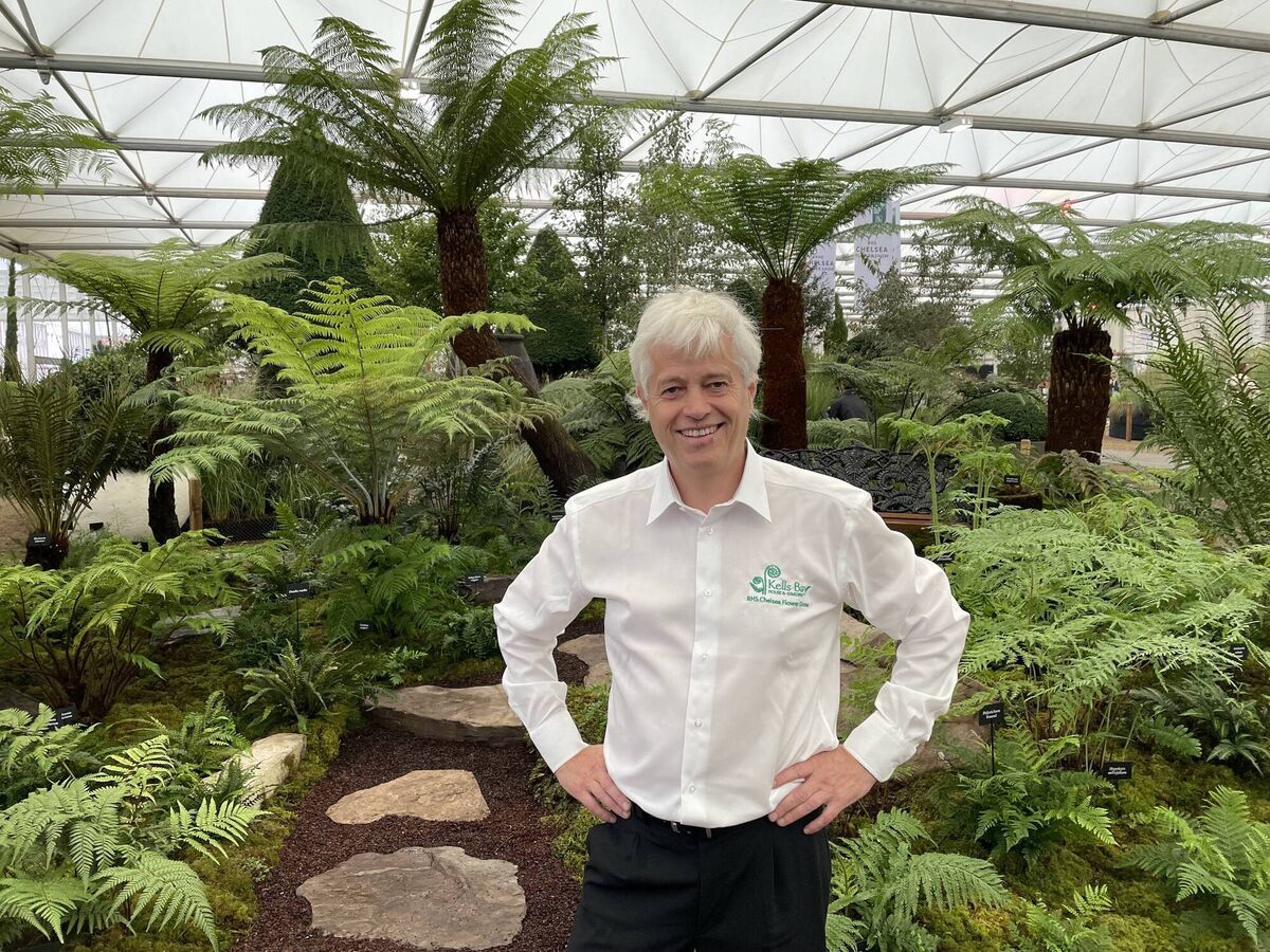 Billy Alexander, Kells Bay Gardens, won his second gold medal from the Royal Horticultural Society last year, after being invited to show his spectacular ferns display at the RHS Chelsea Flower Show. Billy Alexander, Kells Bay Gardens, won his second gold medal from the Royal Horticultural Society last year, after being invited to show his spectacular ferns display at the RHS Chelsea Flower Show.