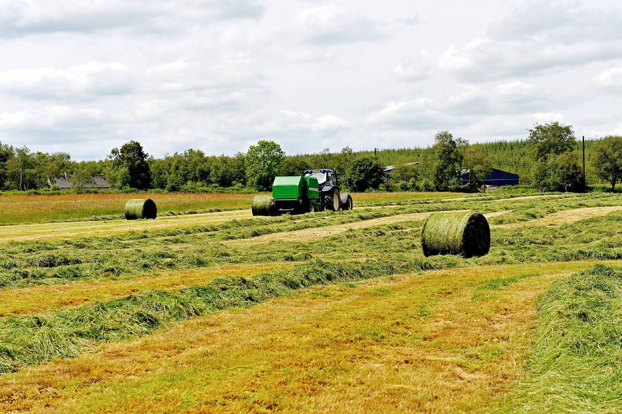 Reduce silage-making losses on the farm