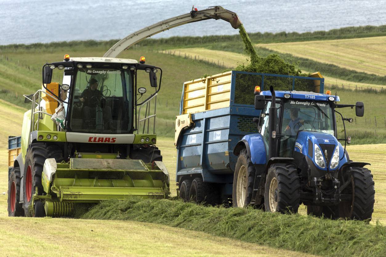 Silage: How to balance yield and quality