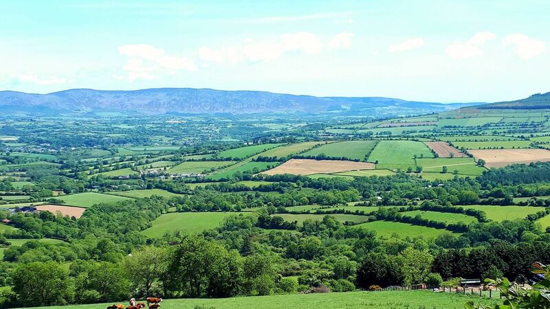 Farm Biodiversity Report: Focus on Hedgerows