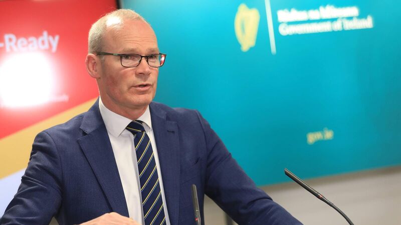 ‘Disingenuous and dangerous’ – Coveney condemns British government threat to scrap parts of protocol
