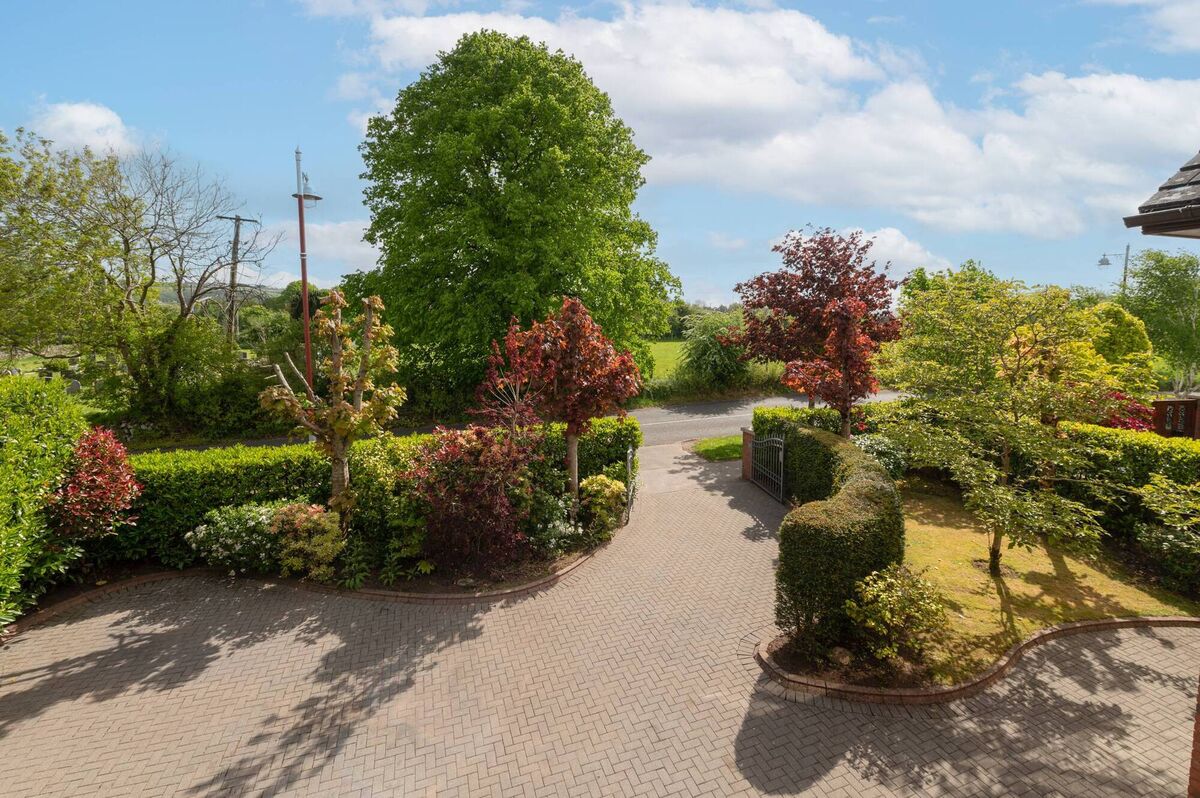 Front garden and drive