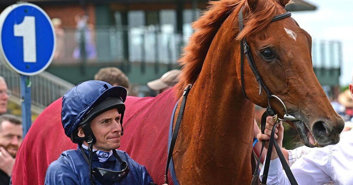 Impressive Statuette debut puts her in Ascot equation