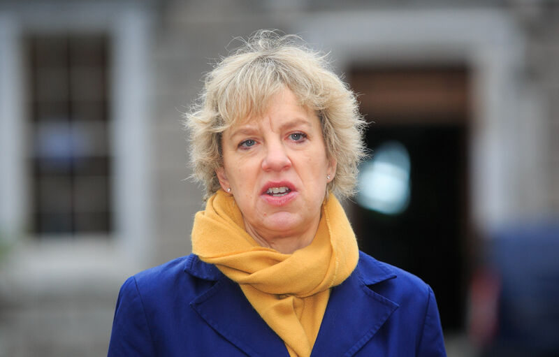 Labour Party leader Ivana Bacik. Labour Party leader Ivana Bacik.