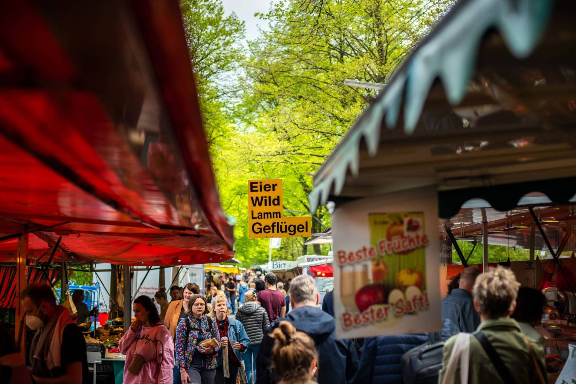 German inflation hits fresh record, piling pressure on ECB