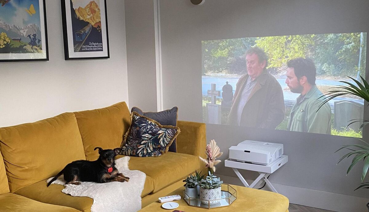 Companies such as Optoma, LG, and Epson make excellent ultra-short-throw (UST) projectors.