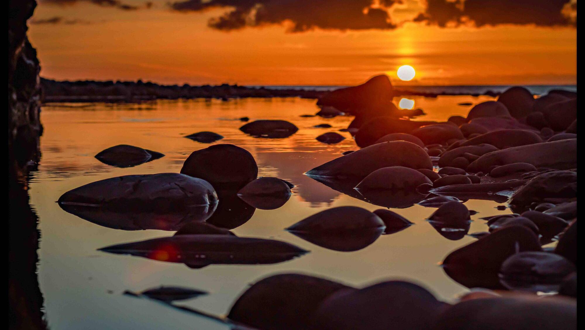 Whales, lighthouses and sunsets: the best photos to celebrate World Ocean Day