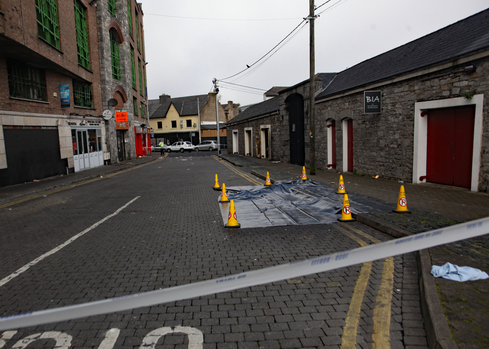 'Danger to the community' faces sentencing for driving her car into crowd in Limerick