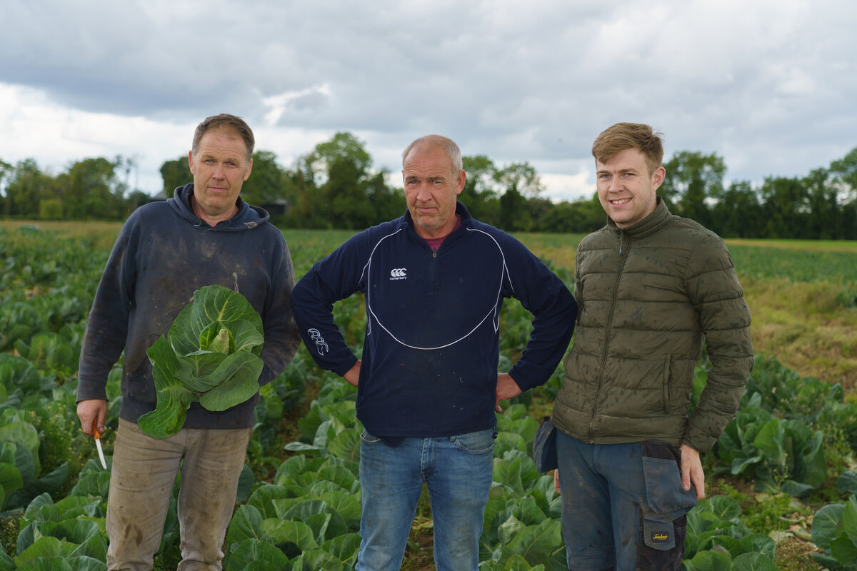 Vegetable grower Cahal Lenehan with his son Conor and brother Rory with some of the remaining cabbage on their farm at Garlow Cross, Co Meath. Picture: Barry Cronin