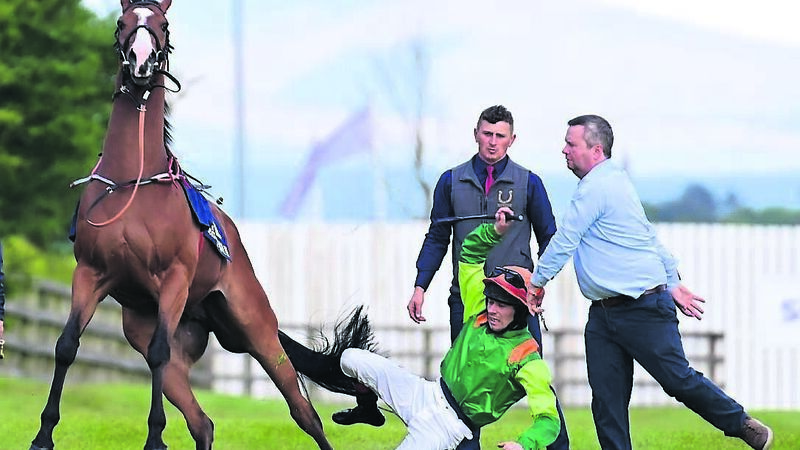 Earl Of Tyrone rules the day with majestic victory