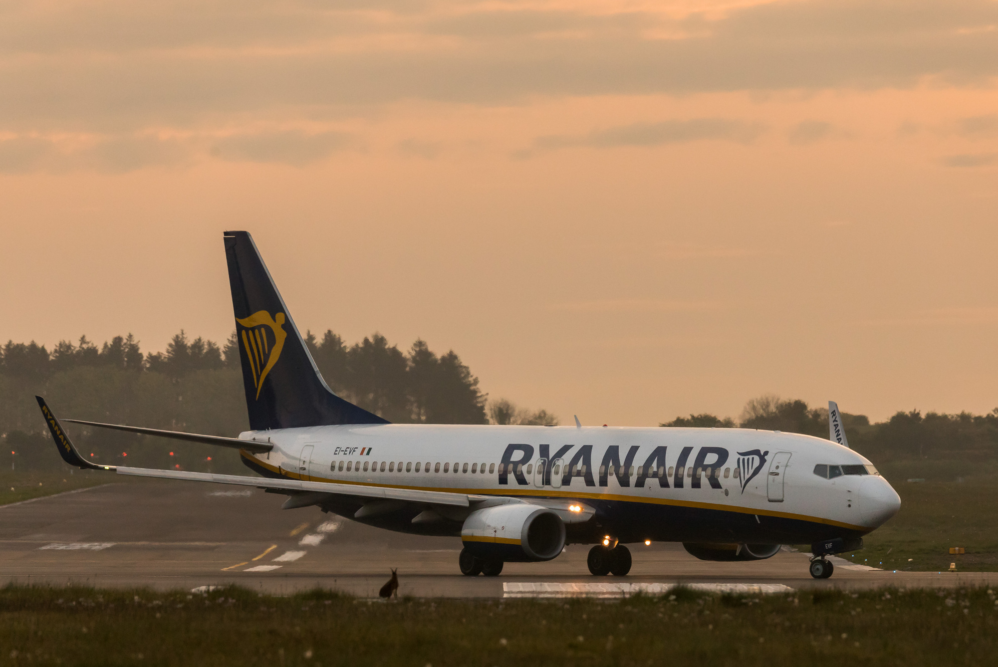 The figure is up from May 2019, when 13.5m passengers flew with the airline. Picture: David Creedon.