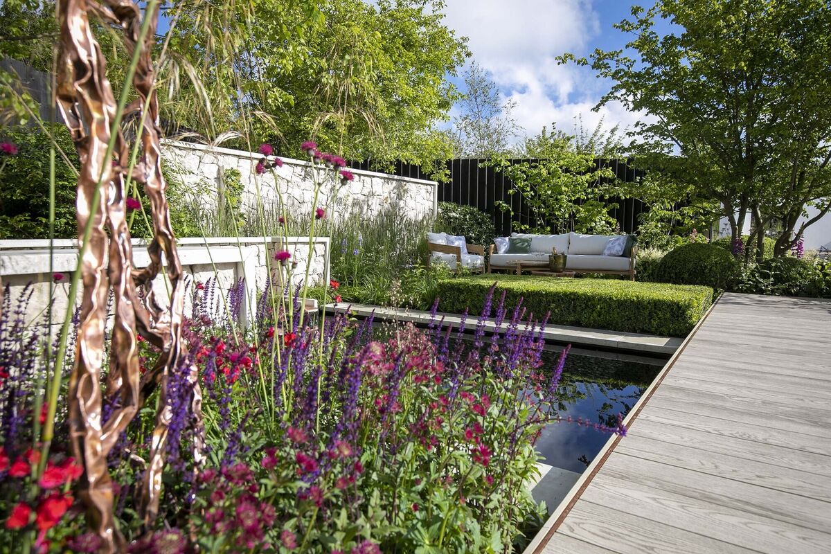 The gold medal-winning Hit Pause - The Caragh Nurseries Garden.
The gold medal-winning Hit Pause - The Caragh Nurseries Garden.