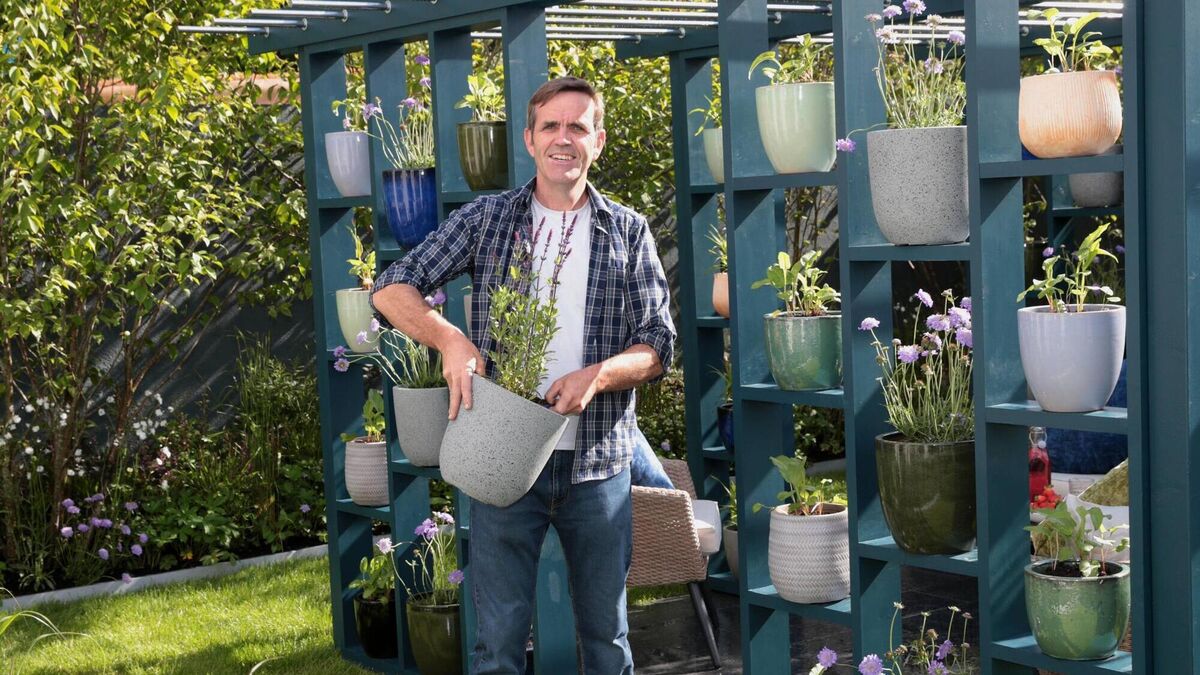 Super Garden judge Brian Burke 