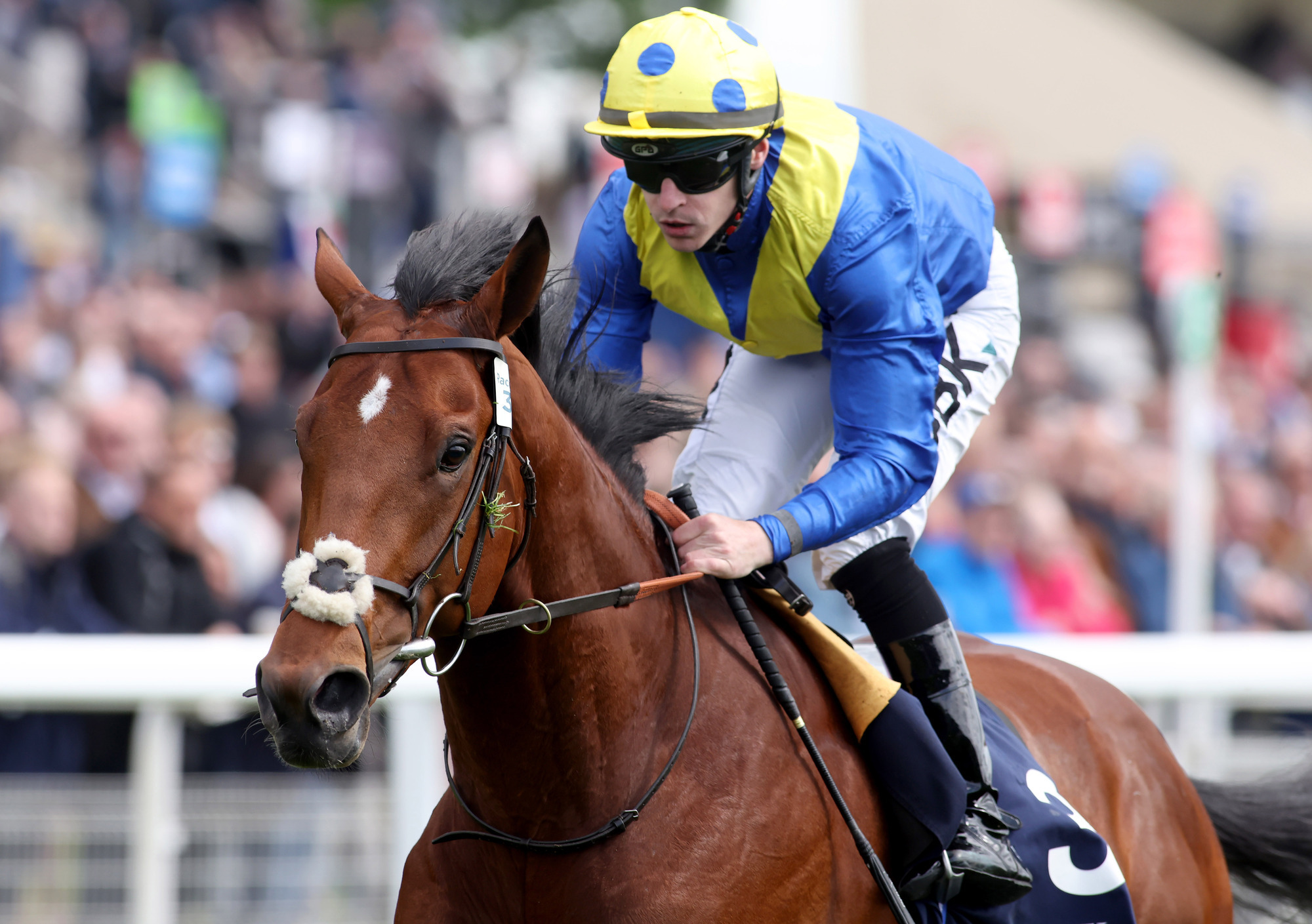 Talking Horses: Six key questions ahead of the 243rd Epsom Derby