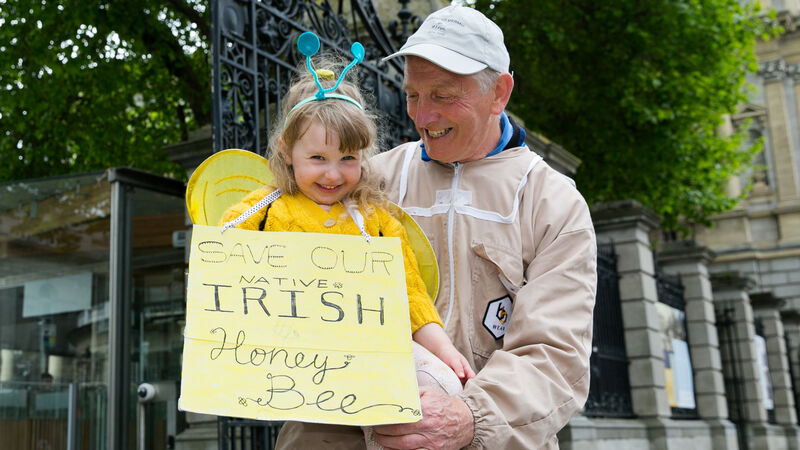 Letters to the Editor: Protection of Irish honey bee deserves the support of all