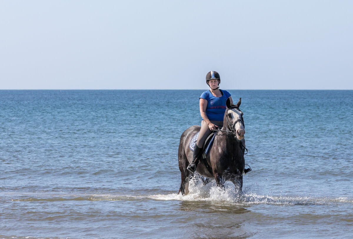 Niamh McAuliffe takes her horse Sally for a trop in the sea on a hot afternoon at Garrylucas, Co Cork, Ireland. Picture: David Creedon
