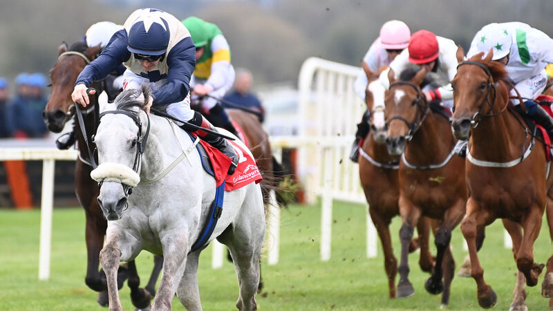 Cork and Wexford tips: Thunder Kiss can strike again in Munster Oaks