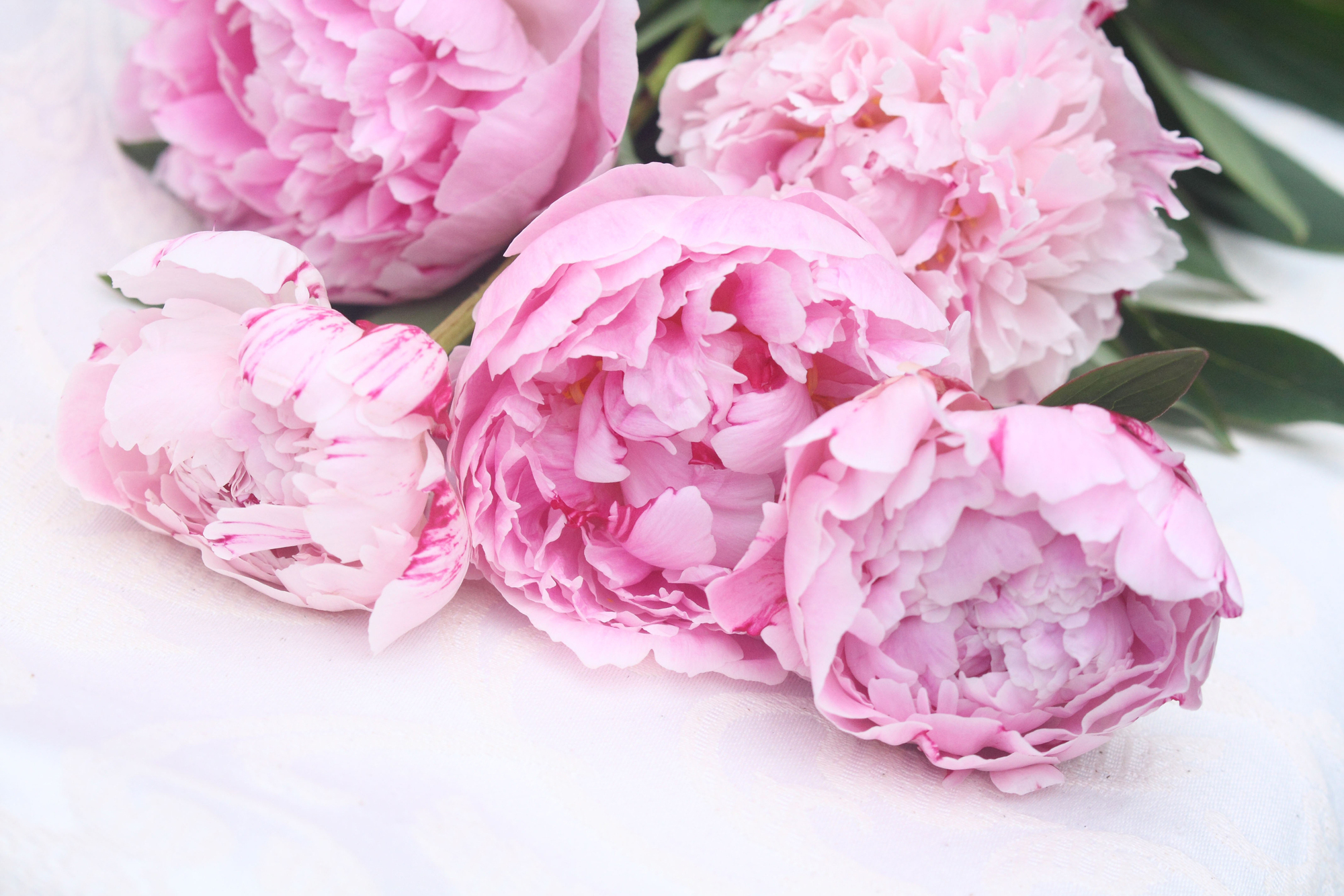 Peonies, sweet peas and roses: How to display your cut flowers