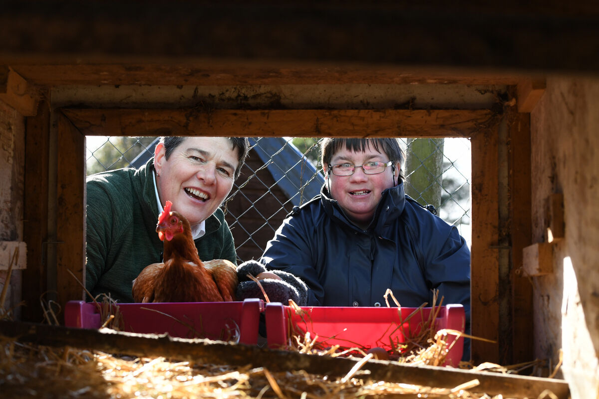 Rena Blake (left) a Social Framer from Ballybunion, Co. Kerry, with Kerry Social Farming student Breda O'Sullivan from Killorglin at work collecting Eggs on the farm. From its beginning in early 2013, Kerry Social Farming has helped to build closer links between the farming community and people with disabilities. Photo: Domnick Walsh
