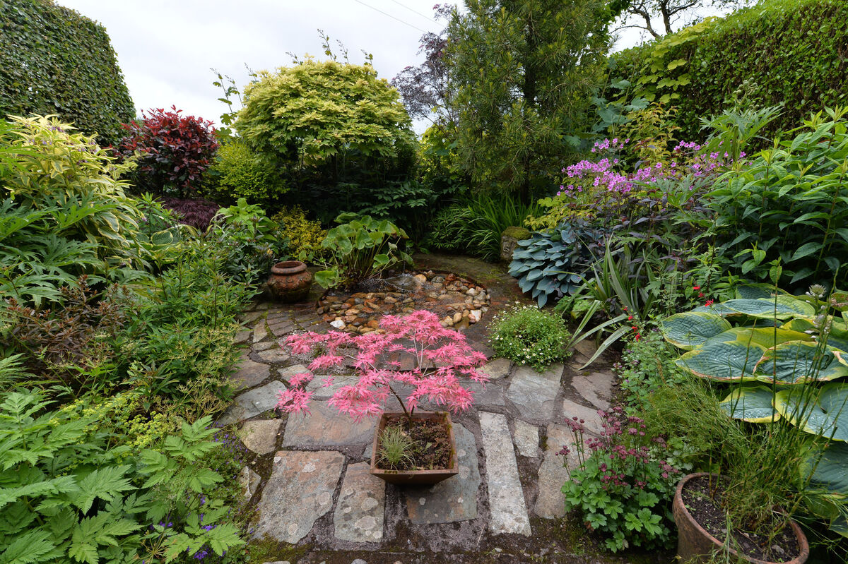 The garden of Maurice and Gertie O'Donoghue in Carrignavar, Co Cork, during a previous 'open garden'. Picture: Dan Linehan The garden of Maurice and Gertie O'Donoghue in Carrignavar, Co Cork, during a previous 'open garden'. Picture: Dan Linehan