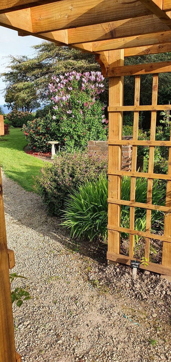 The garden at Seanabea Cottage The garden at Seanabea Cottage