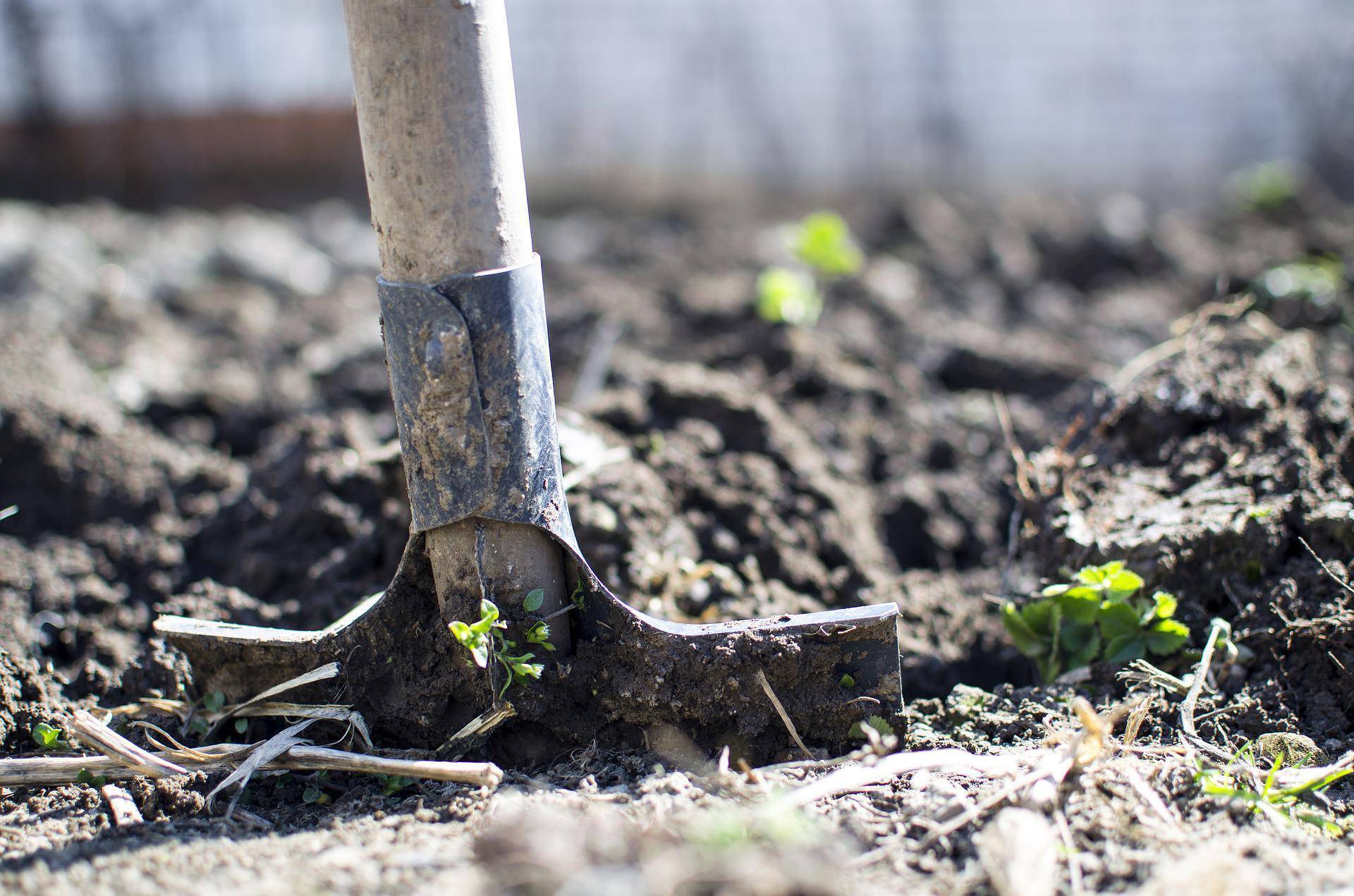 Organic Farming Scheme balancing payments commence