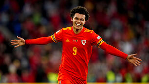 Brennan Johnson celebrates scoring Wales’ equaliser in the 1-1 Nations League draw with Belgium (David Davies/PA)