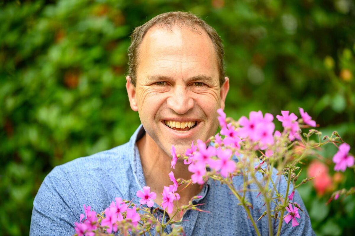 Plant your seasonal colour in between your more permanent plants.