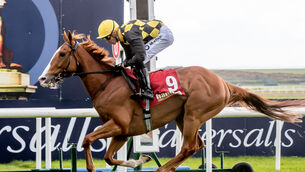 <p>Raise You may not be suited by a potential absence of pace in the Martin Molony Stakes</p>