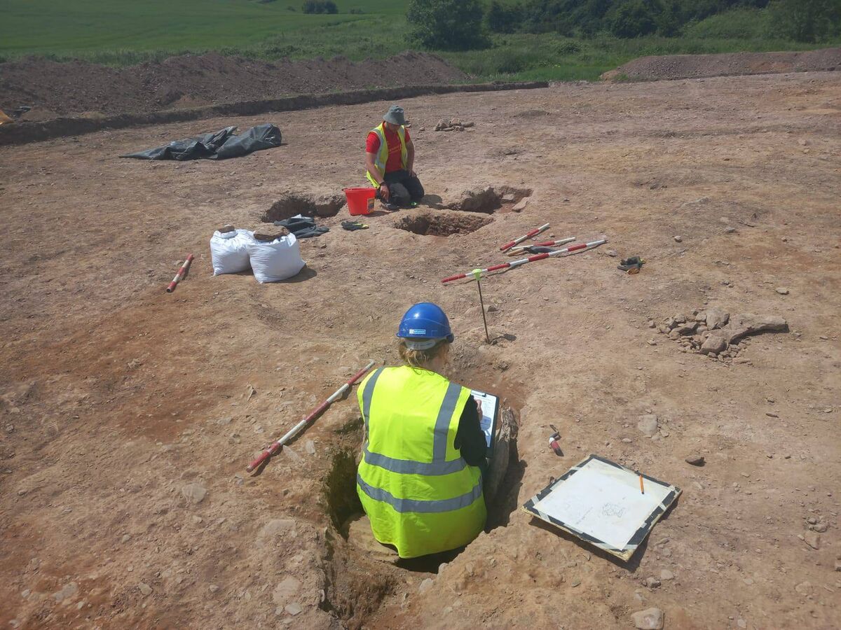 Niamh Daly said she had never seen anything like what was found under Nancy Spain's pub.