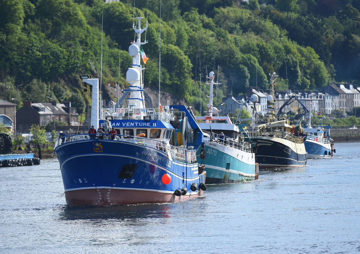 The group say the planned drills would cause sever damage to marine life. File Picture: Larry Cummins