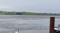 Courtmacsherry-tide.jpg West Cork 'tsunami' felt as far away as France and Cornwall