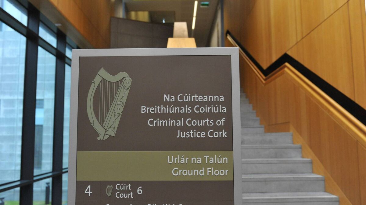 Man inflicted 'brutal and nasty injuries' on woman on New Year's Eve in Midleton, court told - Vimarsana News