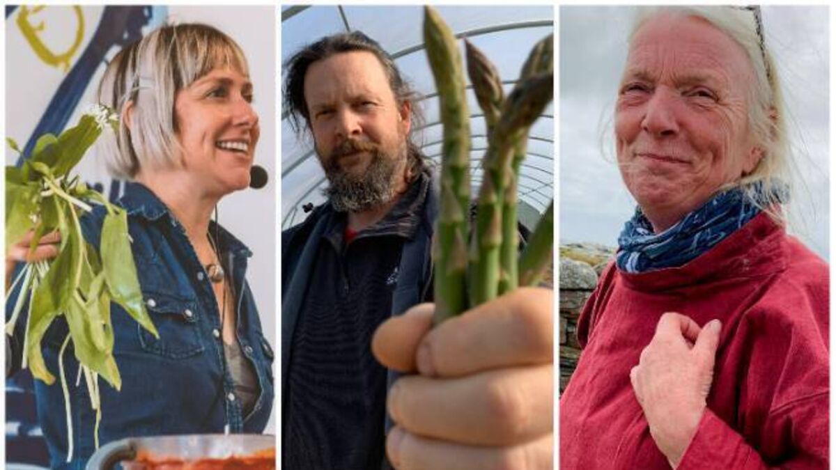 Progress and produce: 50 Irish food producers that have embraced sustainability - Vimarsana News