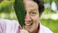 Diarmuid Gavin: The climate crisis has changed the way I garden