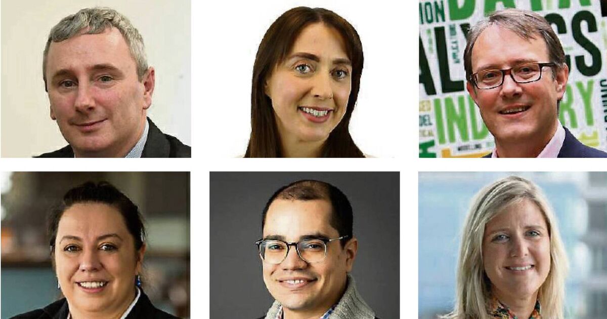 Business movers People starting new jobs in Ireland