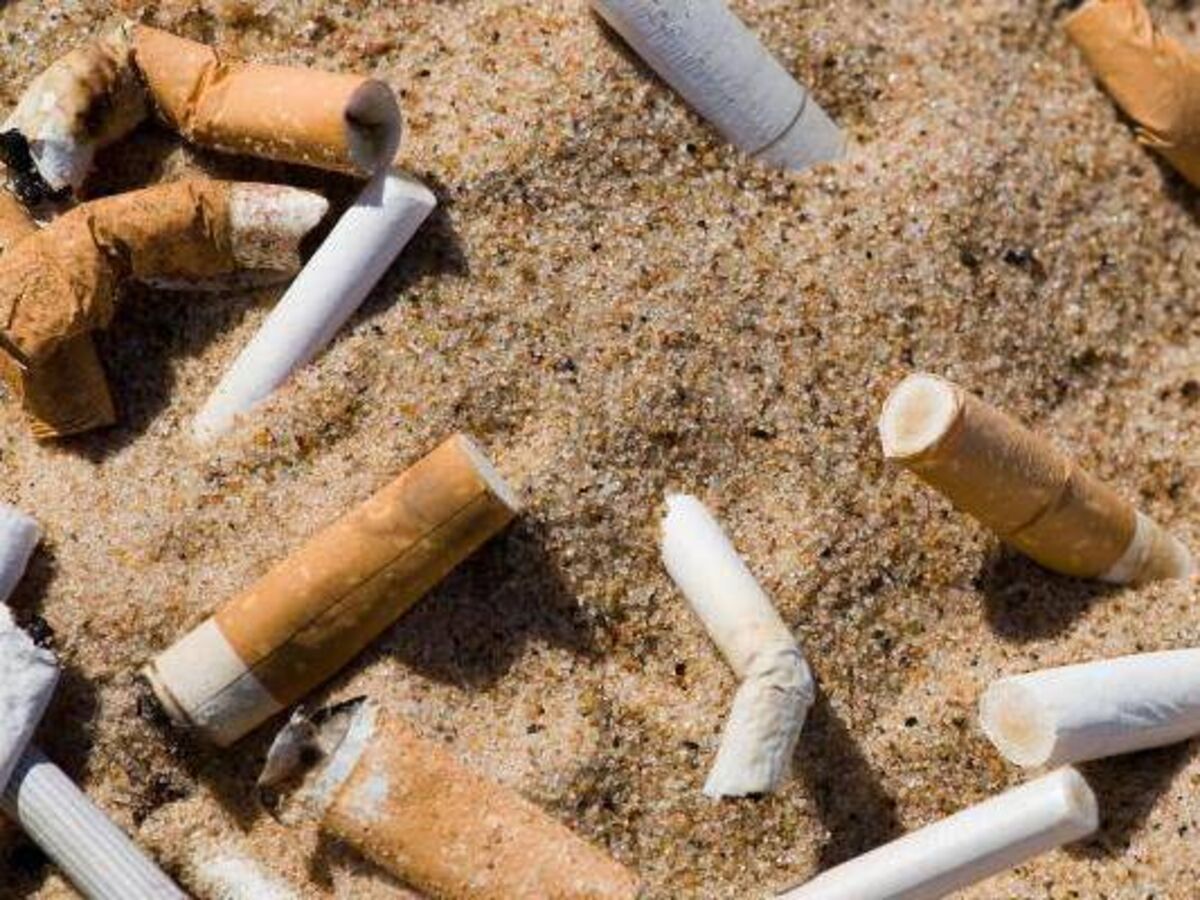 how many people die a day from cigarettes The decline of smoking