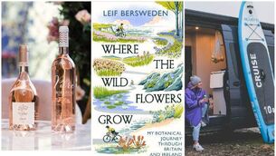 <p>Some of the ideas and items we're loving this week!</p>