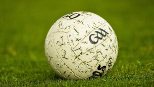 <p>It’s not like we’re a gene-pool GAA family. I played a little bit of Gaelic football in Kinsale. Picture: Piaras Ó Mídheach/Sportsfile</p>