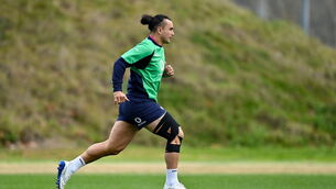 <p>CHANCES AWAIT: James Lowe, Ireland face the All Blacks in their first test this Saturday. Photo: Brendan Moran/Sportsfile</p>