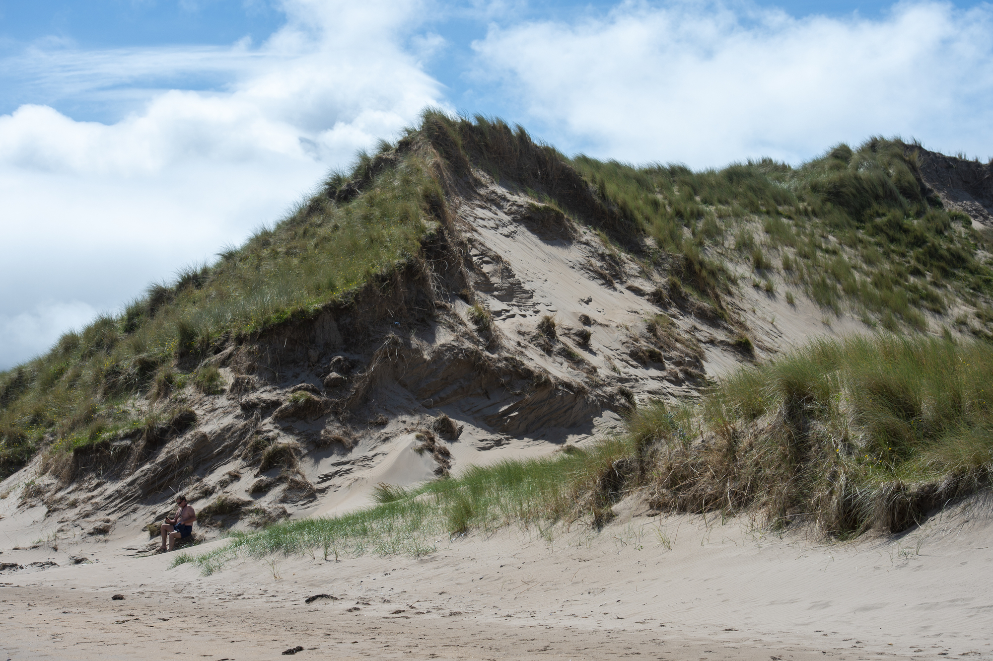 Donal Hickey: Vital to save sand dunes, for shore