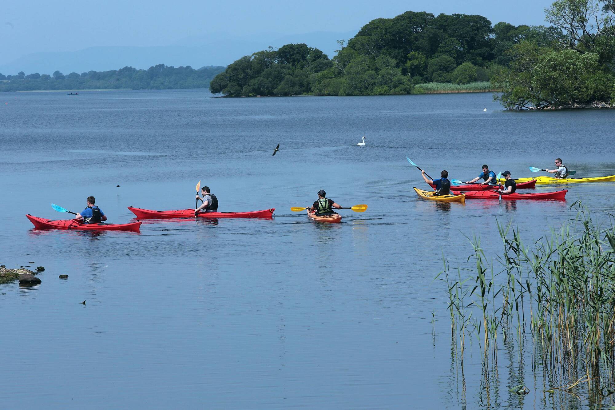 Anja Murray: All is not well with Ireland's lovely lakes