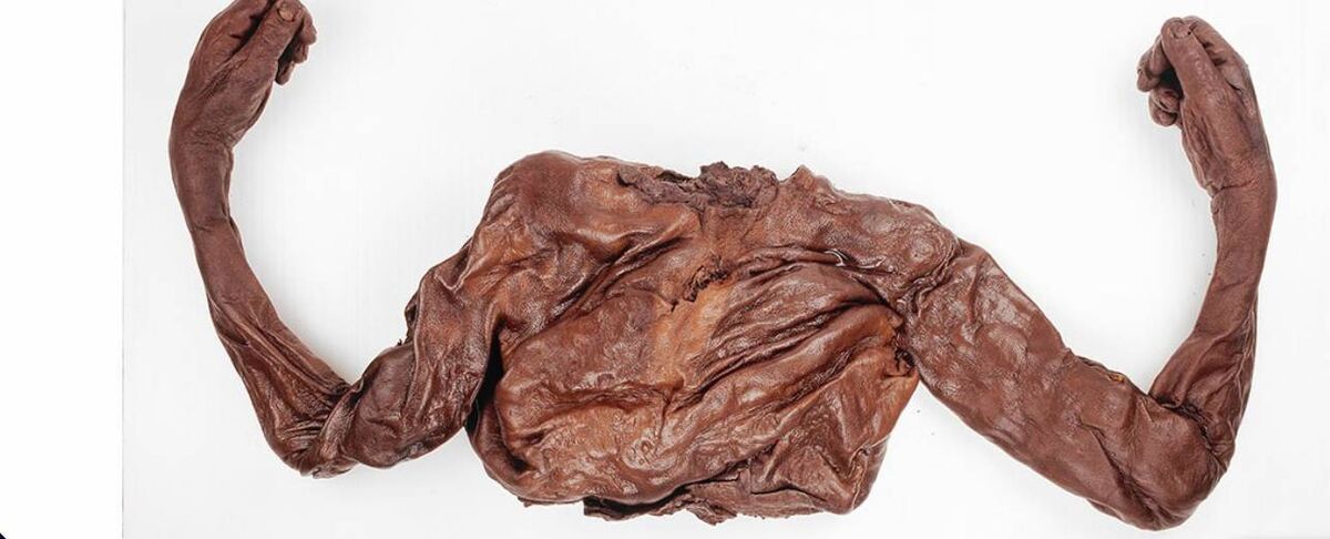 Torso and arms of Old Croghan Man, National Museum of Ireland, Dublin Torso and arms of Old Croghan Man, National Museum of Ireland, Dublin