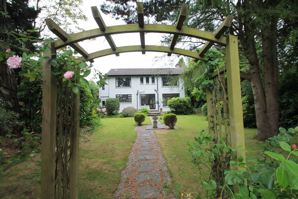 Pic taken from the rear of Woodford Pic taken from the rear of Woodford