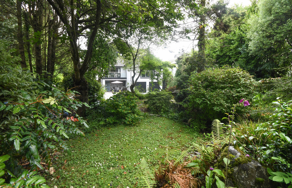 Front garden Front garden