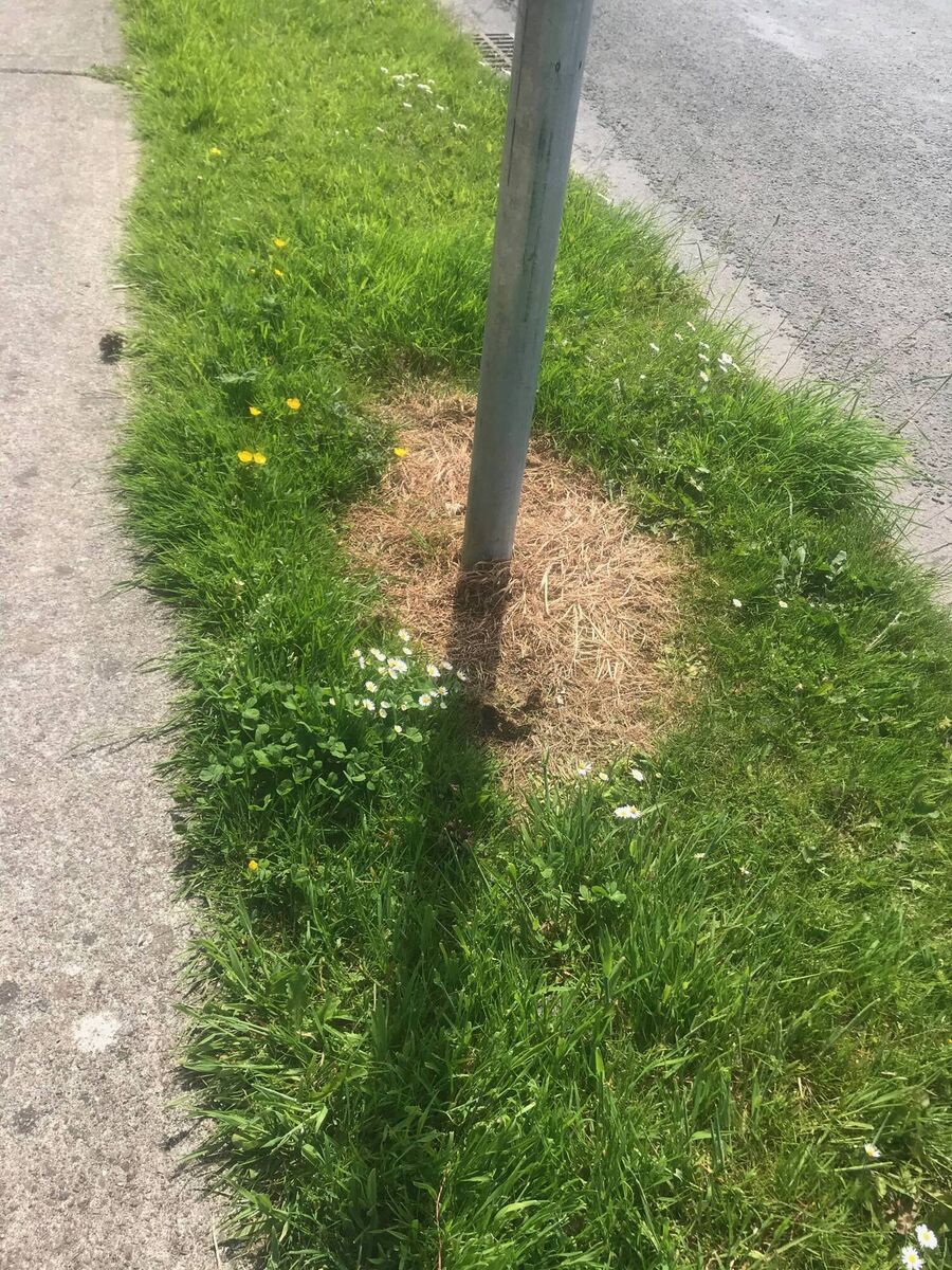 The burnt ground, regularly seen both in gardens and on road verges, have been sprayed with herbicide, often near drainage ditches which enter groundwater The burnt ground, regularly seen both in gardens and on road verges, have been sprayed with herbicide, often near drainage ditches which enter groundwater