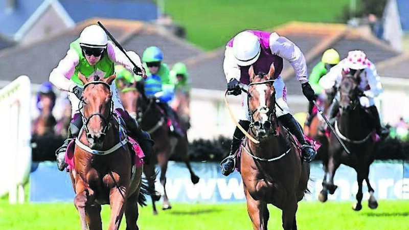 Ascot return for Spendarella on cards